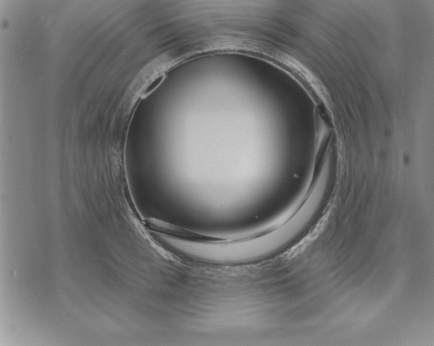 X0000071850993200607141746