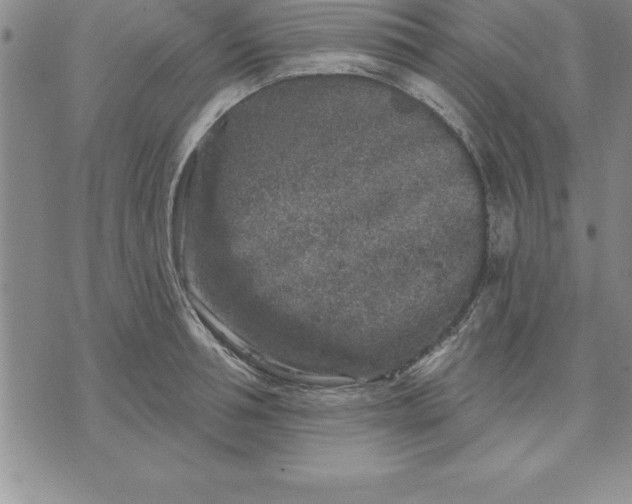 X0000071850994200607141746