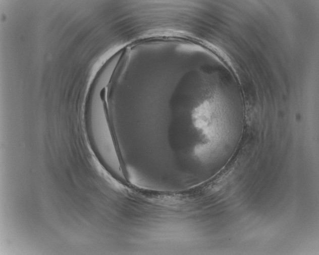 X0000071850995200607141746