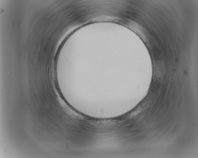 X0000071851000200607141745