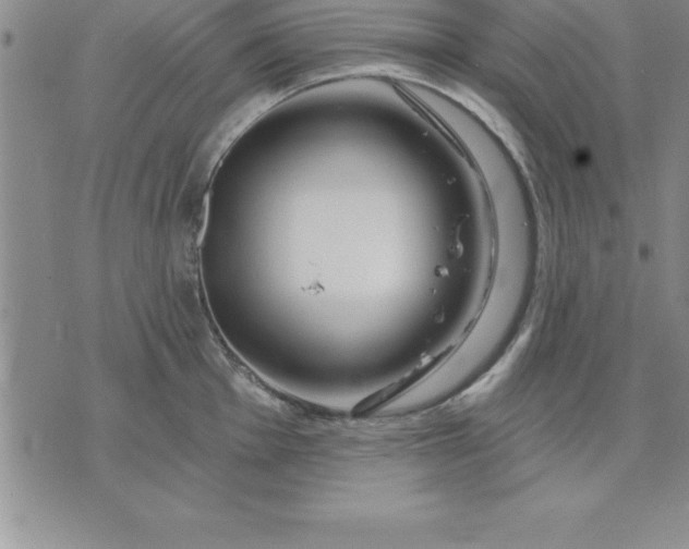 X0000071851001200607141745