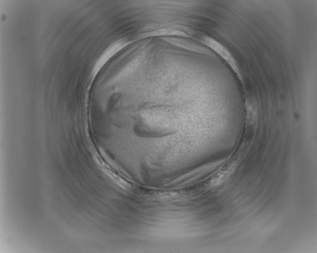 X0000071851002200607141745