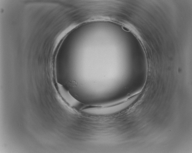 X0000071851003200607141745