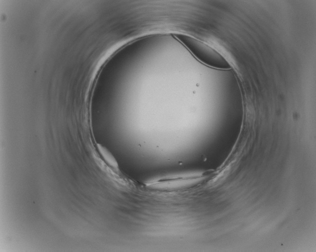 X0000071851004200607141745