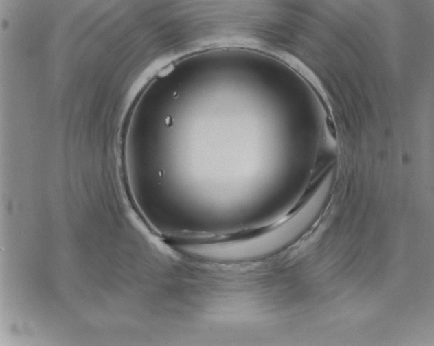 X0000071851005200607141745