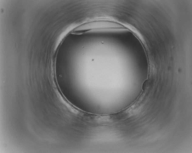 X0000071851006200607141745