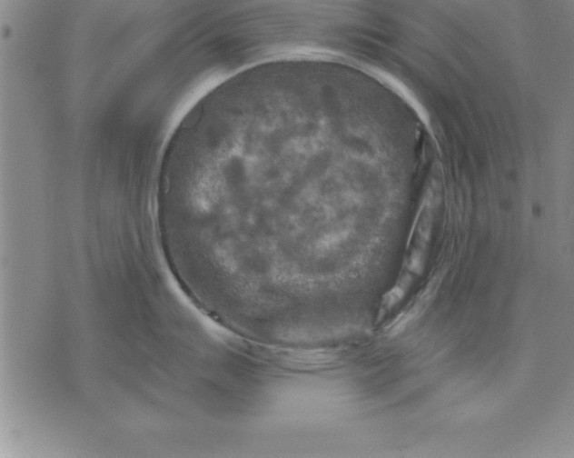 X0000071851007200607141745