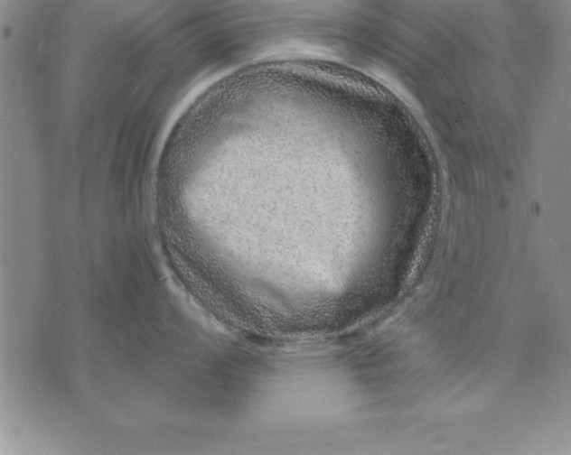 X0000071851008200607141745