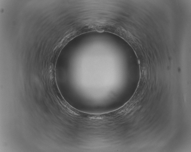 X0000071851012200607141745