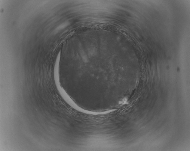 X0000071851013200607141745