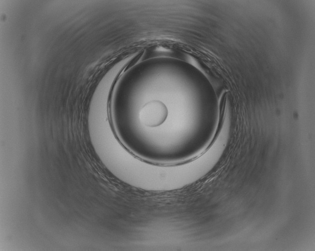 X0000071851014200607141745