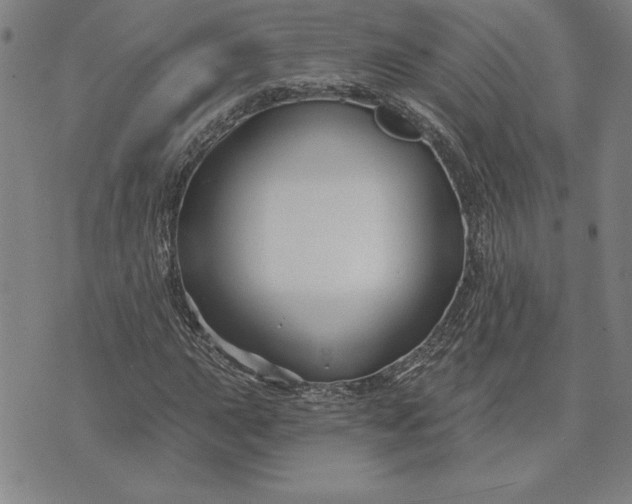 X0000071851015200607141745