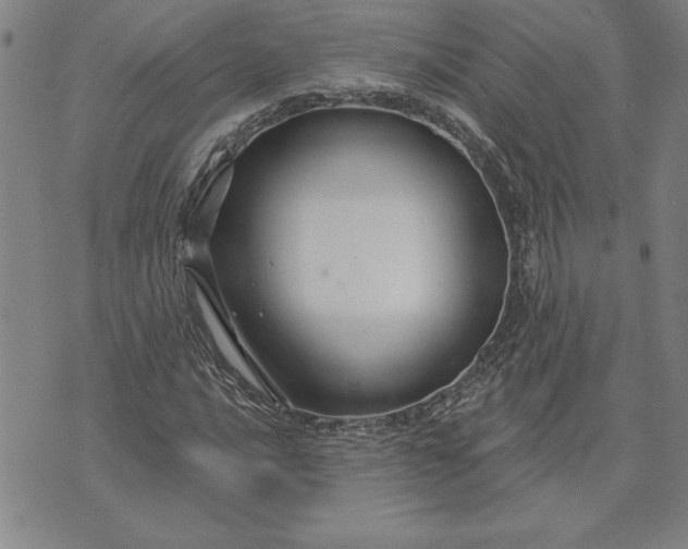 X0000071851016200607141745