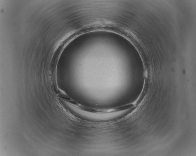 X0000071851018200607141745