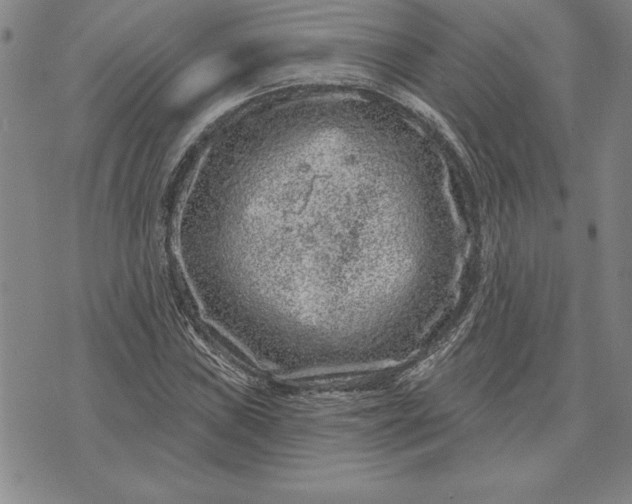 X0000071851019200607141745