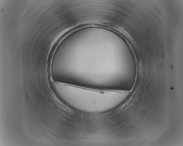 X0000071851020200607141745