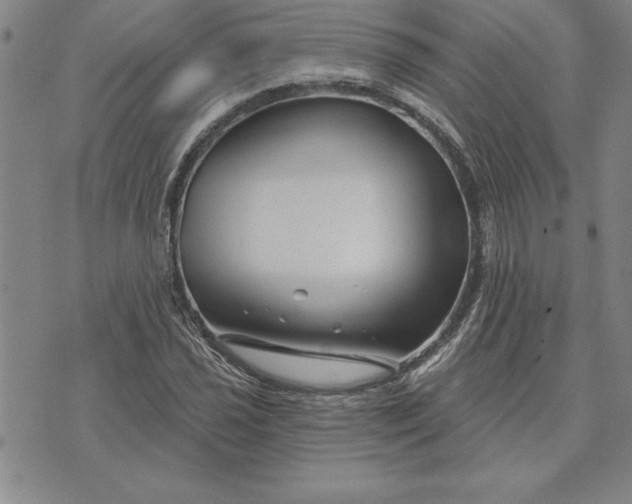 X0000071851021200607141745