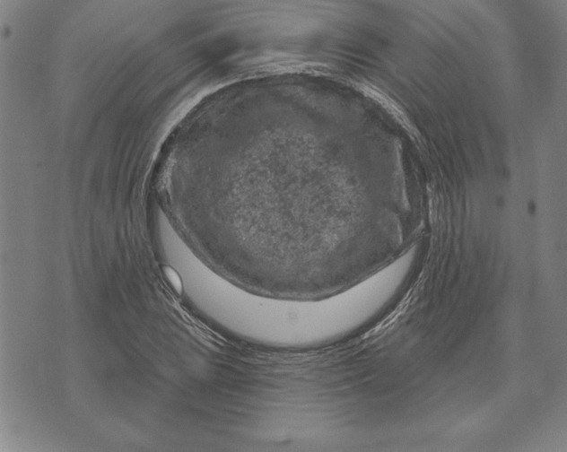 X0000071851023200607141745