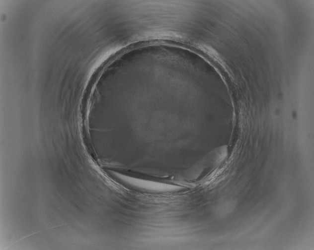 X0000071851024200607141745