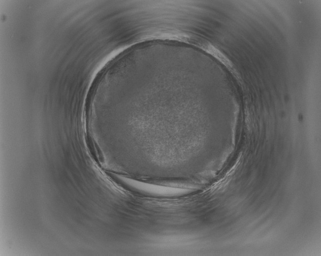 X0000071851028200607141745