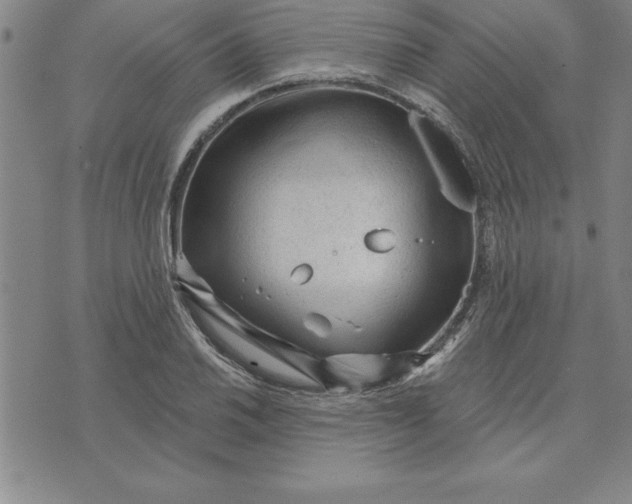 X0000071851030200607141745