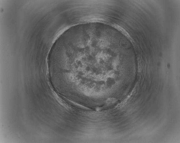 X0000071851031200607141745