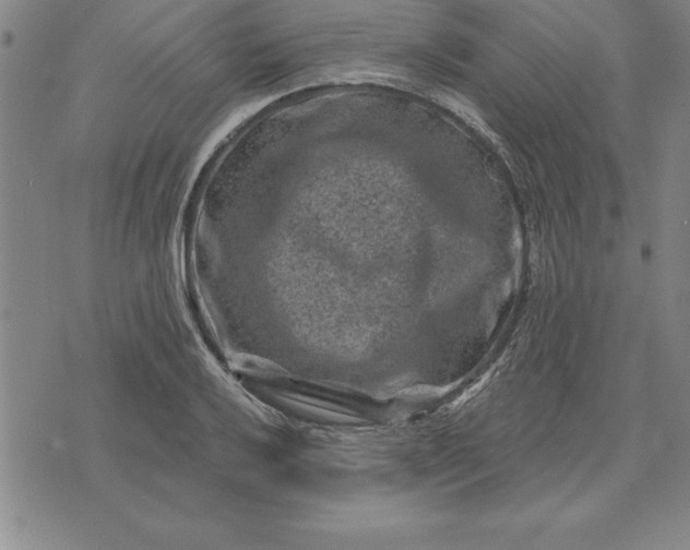 X0000071851032200607141745