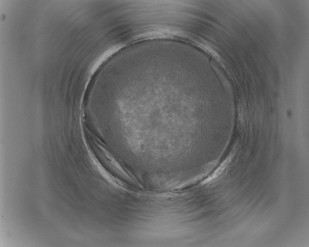 X0000071851034200607141745