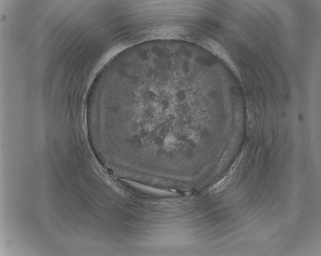 X0000071851035200607141745