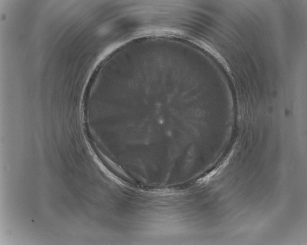 X0000071851037200607141745