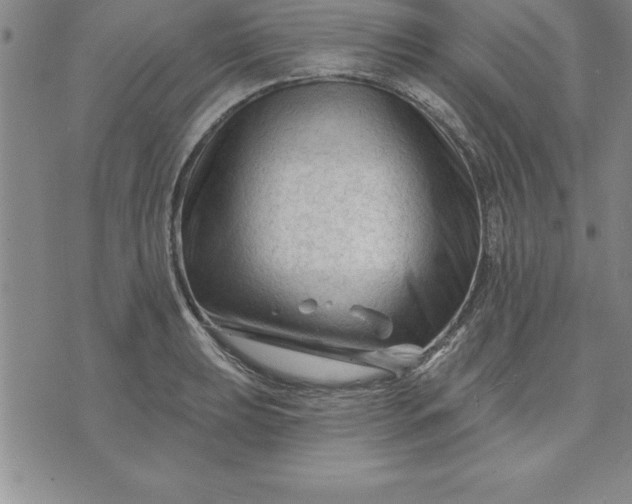 X0000071851039200607141745