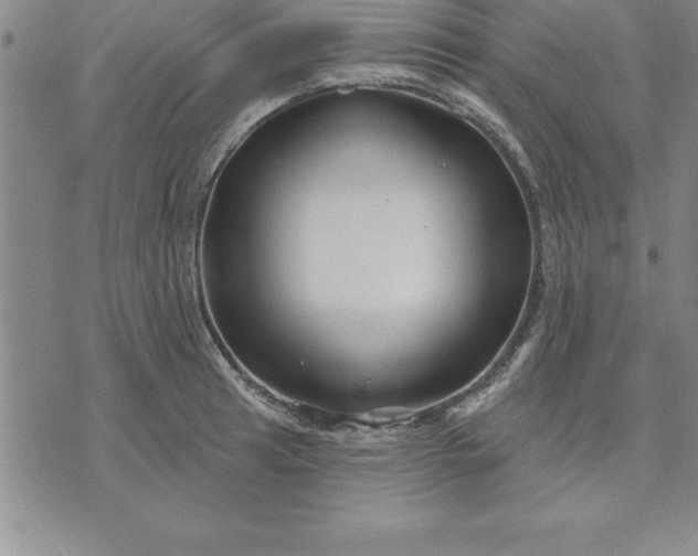 X0000071851041200607141745