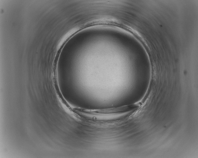 X0000071851042200607141745