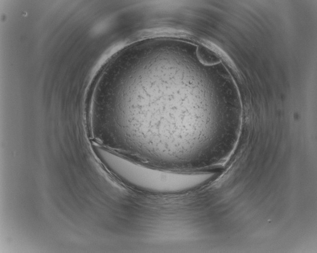 X0000071851043200607141745