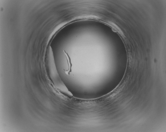 X0000071851044200607141745