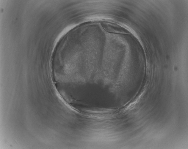 X0000071851045200607141745