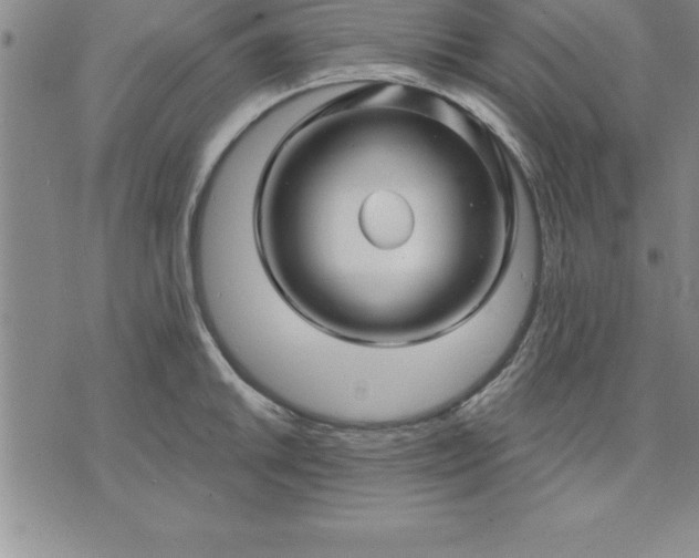 X0000071851046200607141745