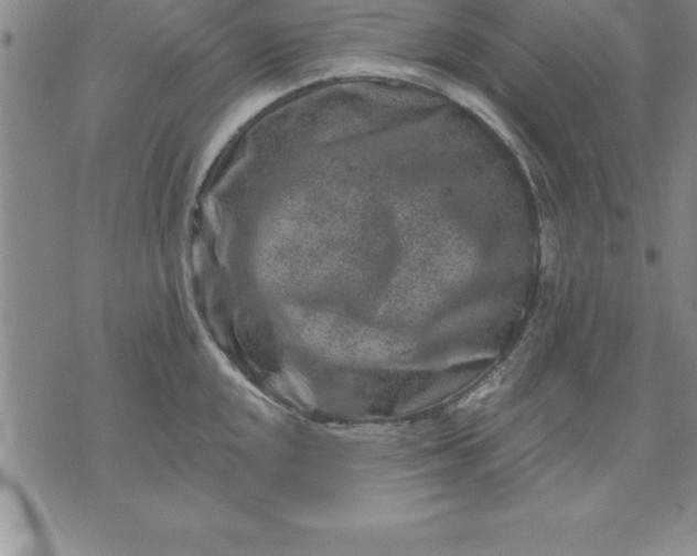 X0000071851048200607141745