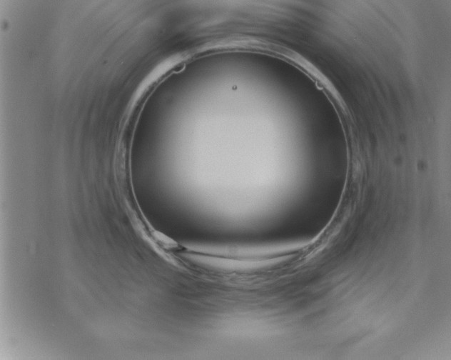 X0000071851053200607141745