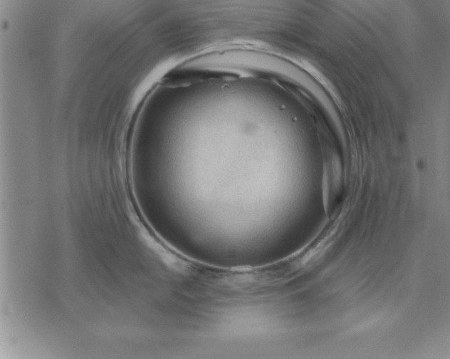 X0000071851054200607141745