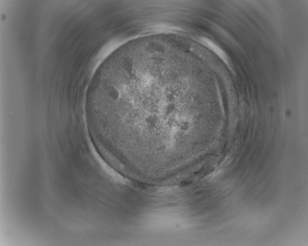 X0000071851055200607141745