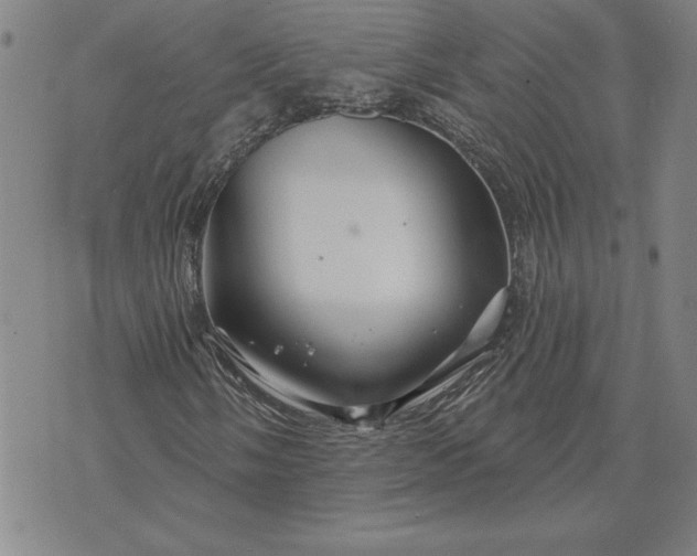 X0000071851058200607141745