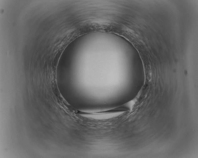 X0000071851061200607141744