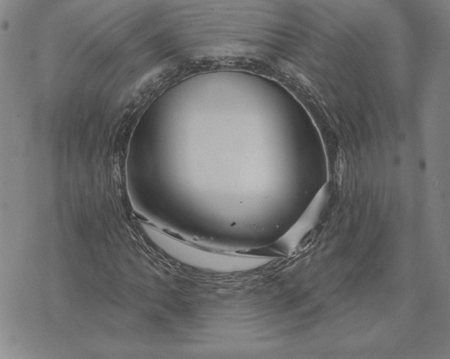 X0000071851062200607141744