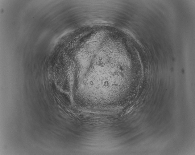 X0000071851063200607141744