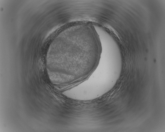 X0000071851064200607141744