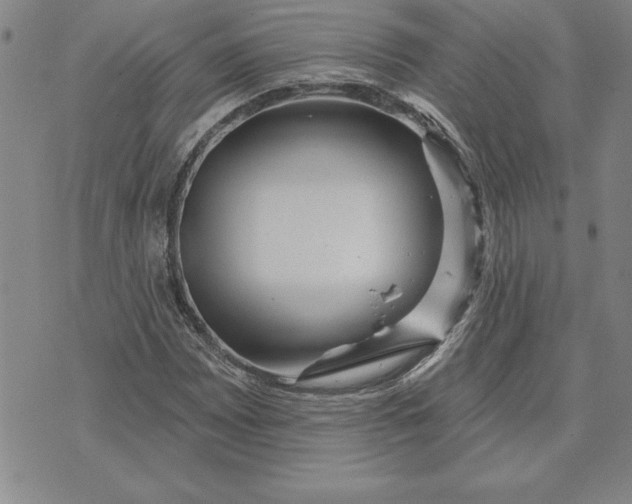 X0000071851065200607141744