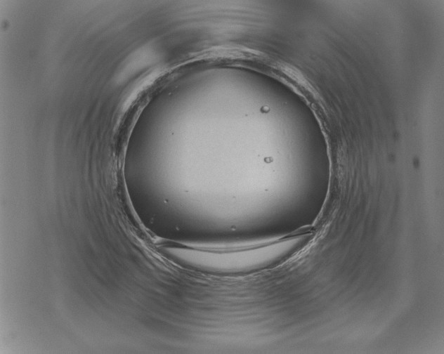 X0000071851067200607141744