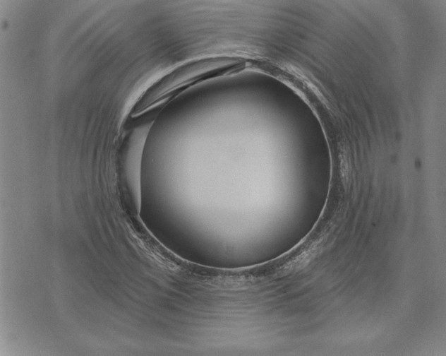 X0000071851069200607141744