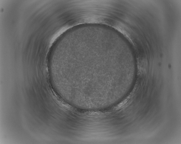 X0000071851070200607141744